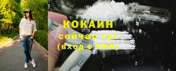 мдпв Карпинск