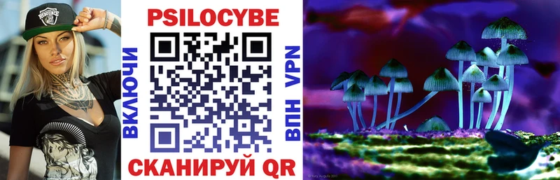 Галлюциногенные грибы Cubensis  Купить  Пикалёво 